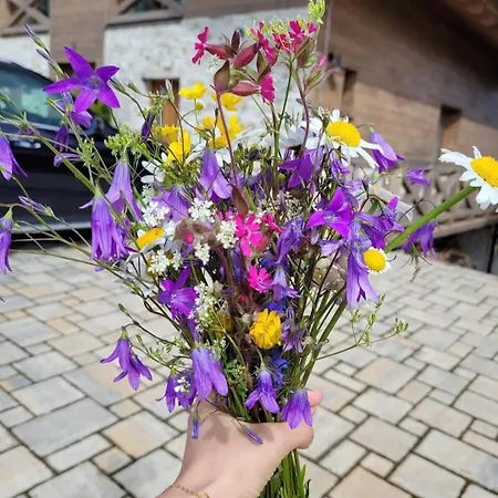 Rebeca 6 Beds Шале Доновалы