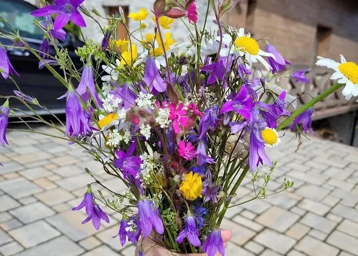 Rebeca 6 Beds Alpesi faház Dóval